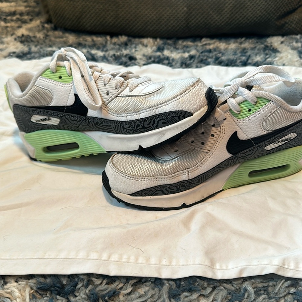Nike Air Max sneaker